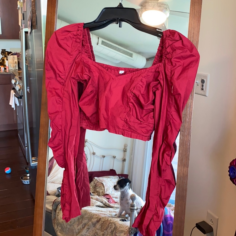 Red puffed long sleeve crop top